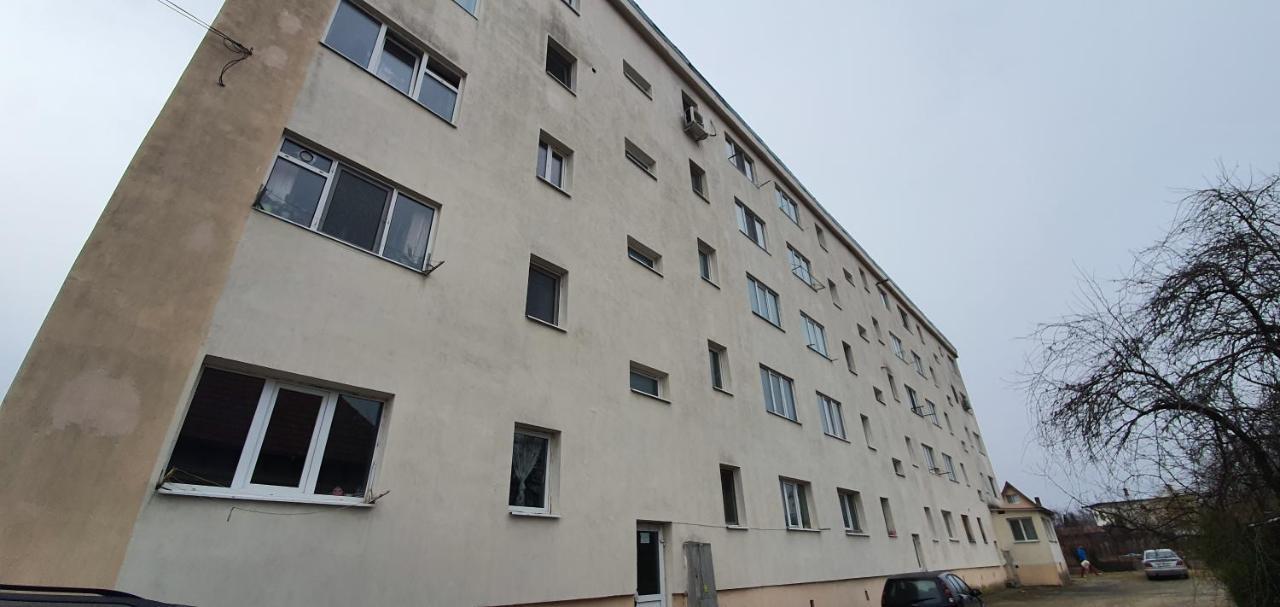 Garsoniera Horezu Apartamento Exterior foto